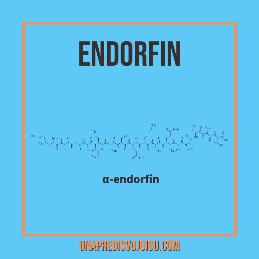 Struktura endorfina. Endorfin je poznat kao hormon sreće. Luči se i u FLOW stanju.
