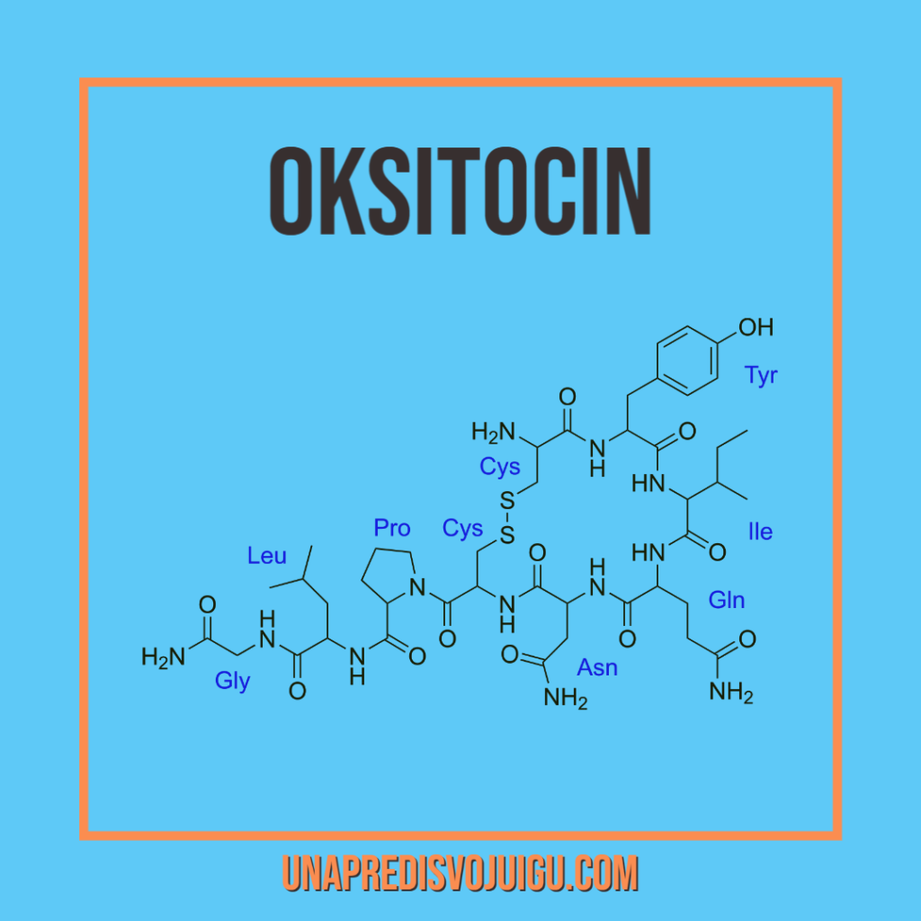 Struktura oksitocina. Oksitocin je poznat kao hormon sreće. 